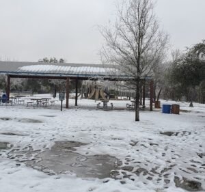 Soccer Field image 2