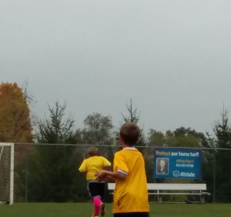 Soccer Field image 2