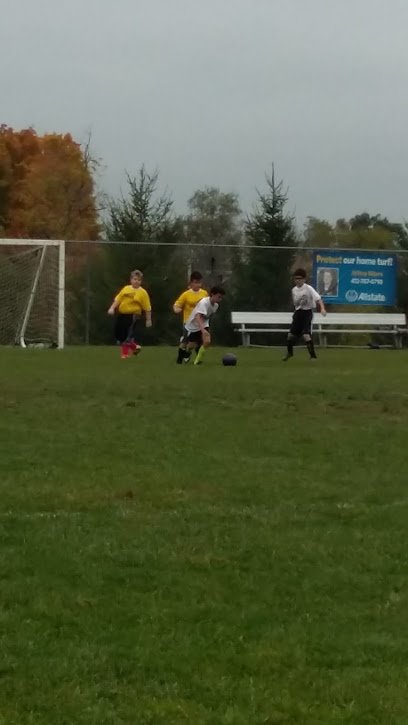 Soccer Field image 1