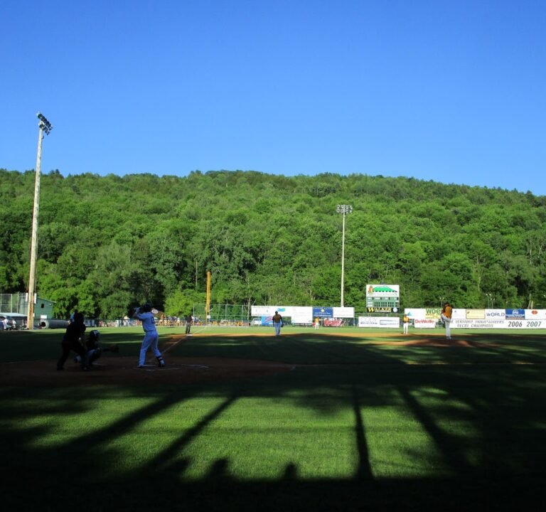 Soccer Field image 2