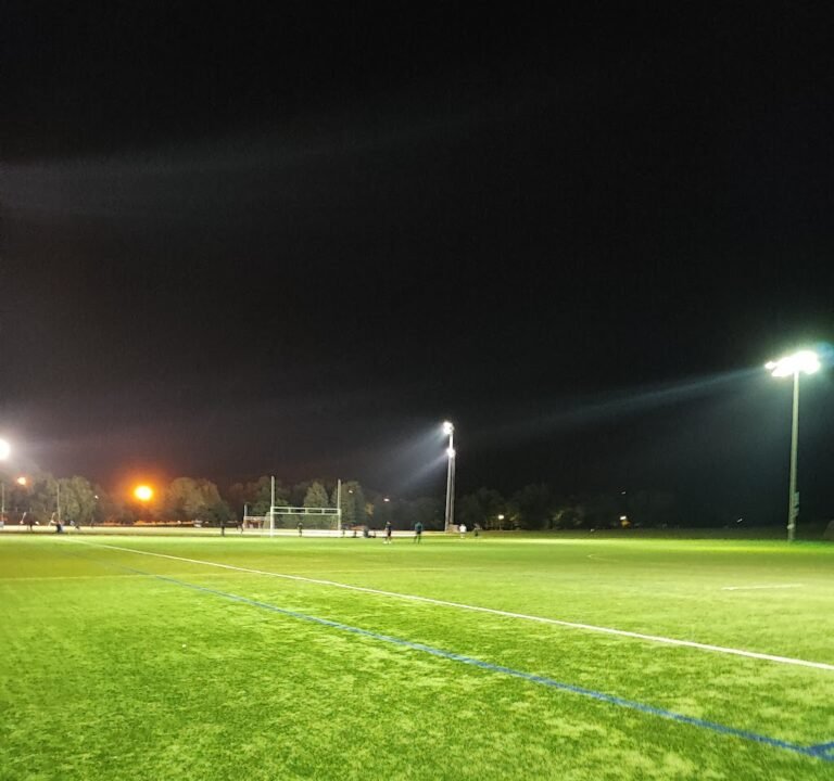 Soccer Field image 2