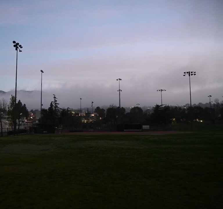 Soccer Field image 3