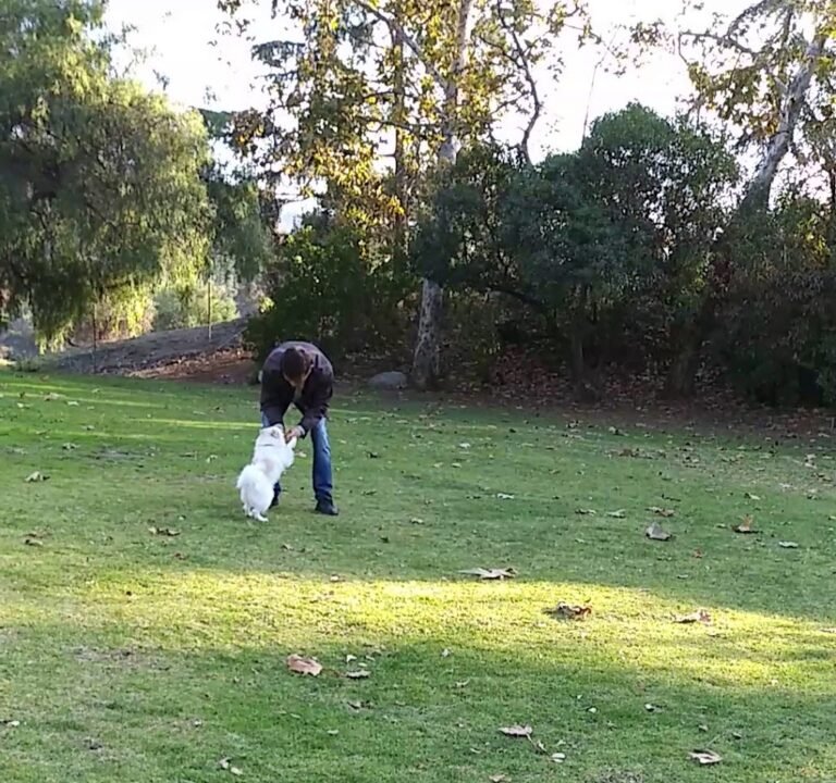 Soccer Field image 4