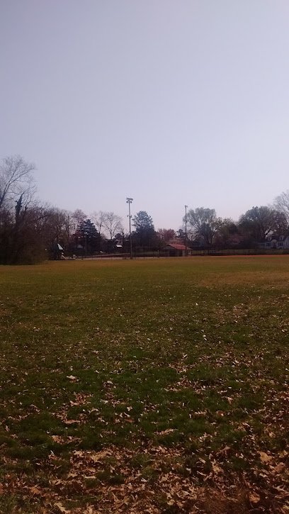 Soccer Field image 1