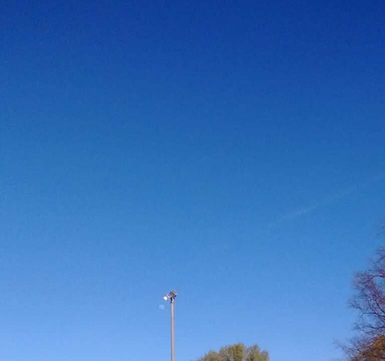 Soccer Field image 2