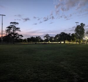 Soccer Field image 2