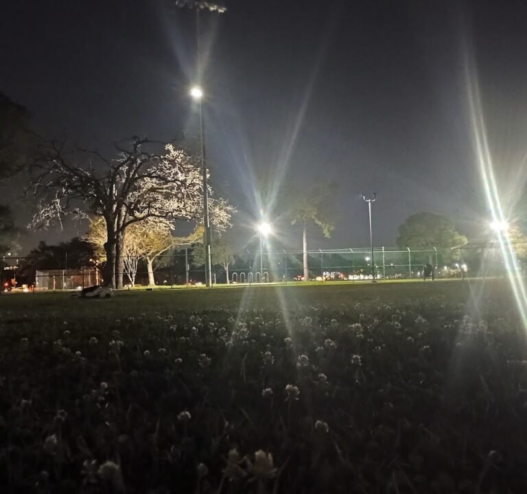 Soccer Field image 3