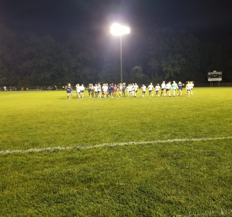 Soccer Field image 2