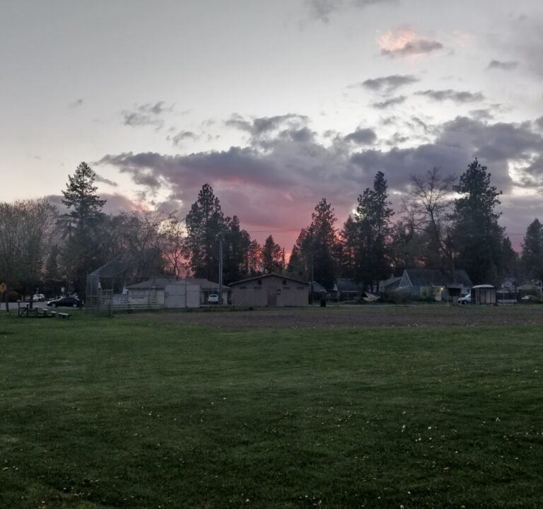 Soccer Field image 2