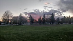Soccer Field image 1
