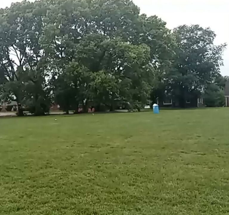 Soccer Field image 3