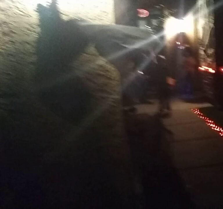 Soccer Field image 3