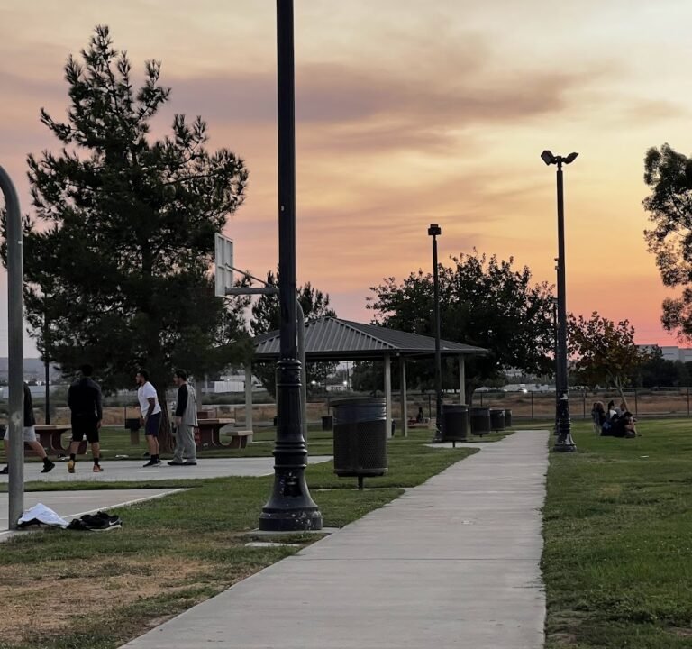 Soccer Field image 2