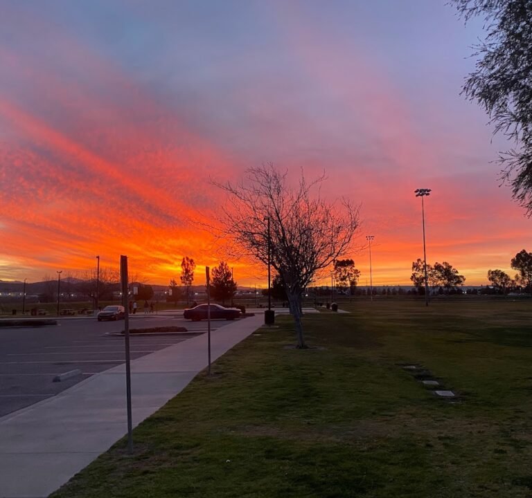Soccer Field image 3