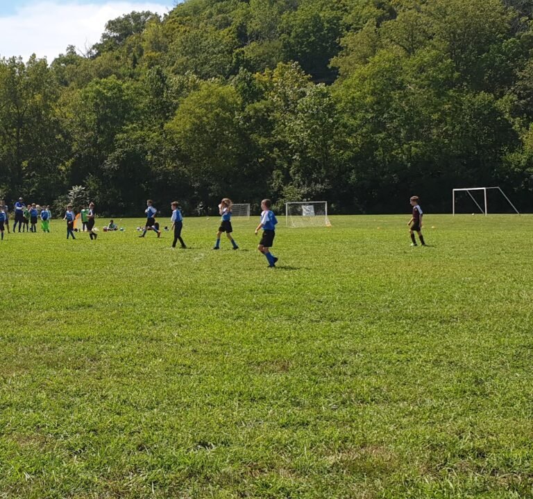 Soccer Field image 2