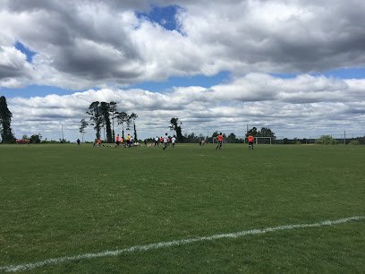 Soccer Field image 1