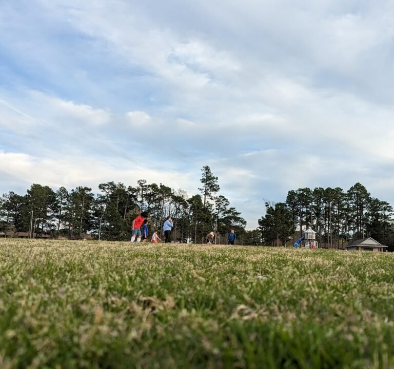 Soccer Field image 2