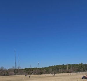 Soccer Field image 3