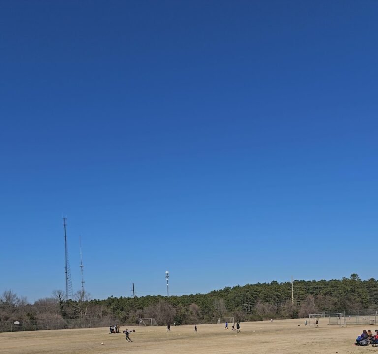 Soccer Field image 3