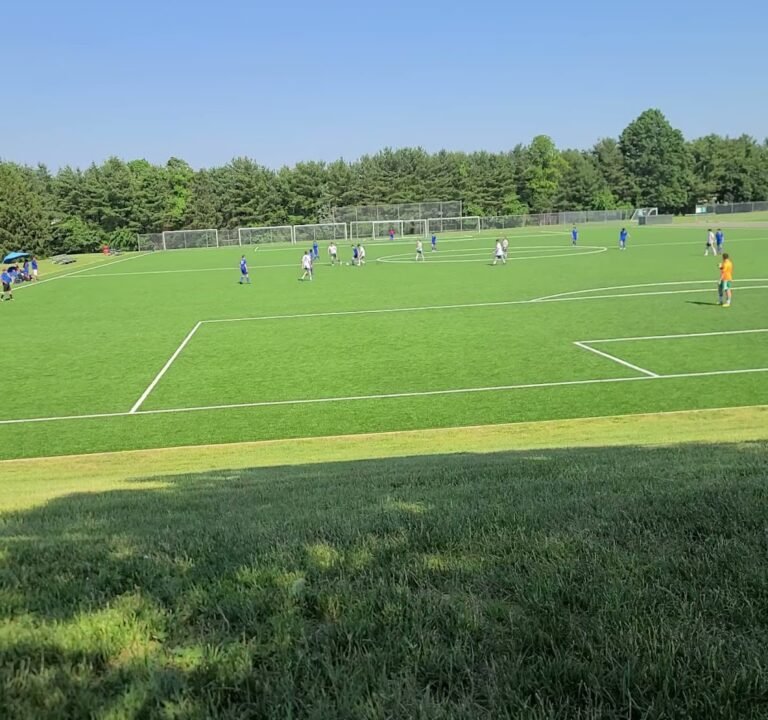Soccer Field image 2