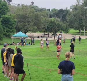 Soccer Field image 4