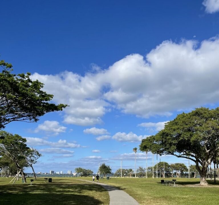 Soccer Field image 2
