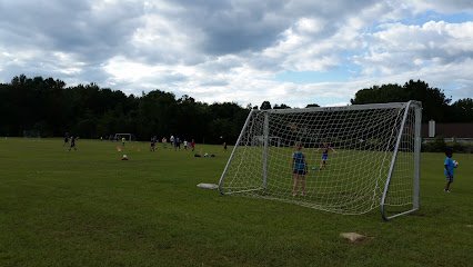Soccer Field image 1