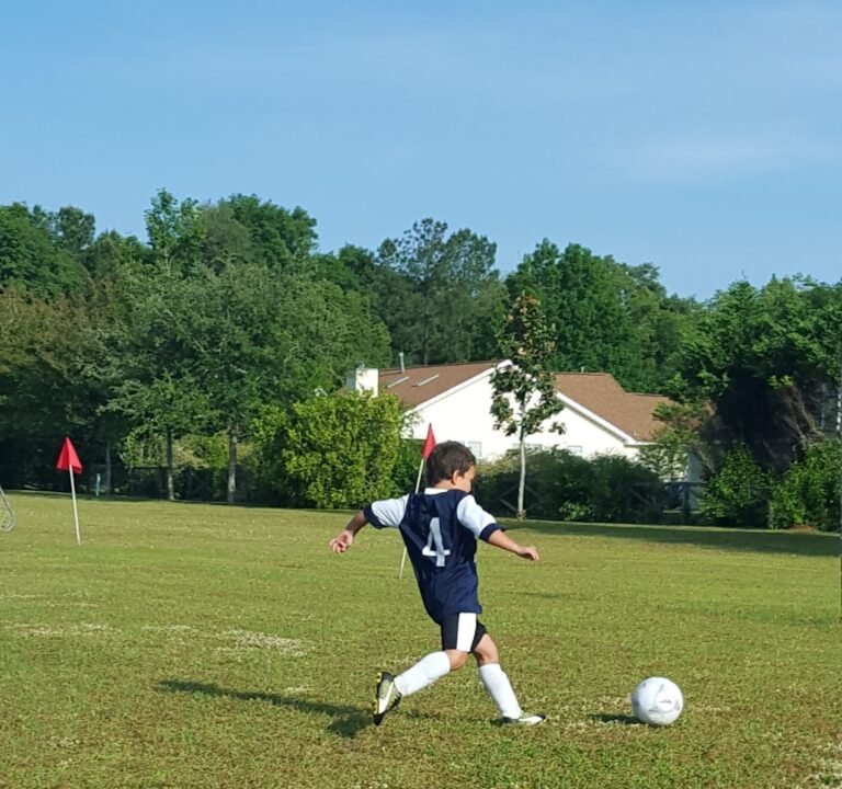 Soccer Field image 2