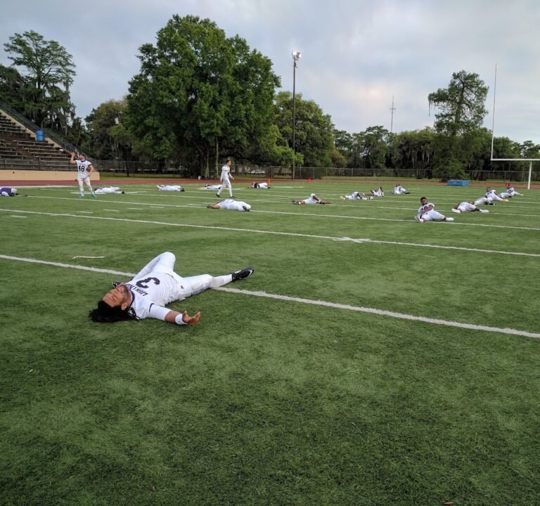 Soccer Field image 2