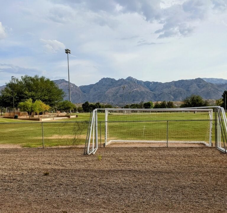 Soccer Field image 2