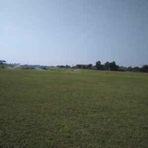 Soccer Field image 1