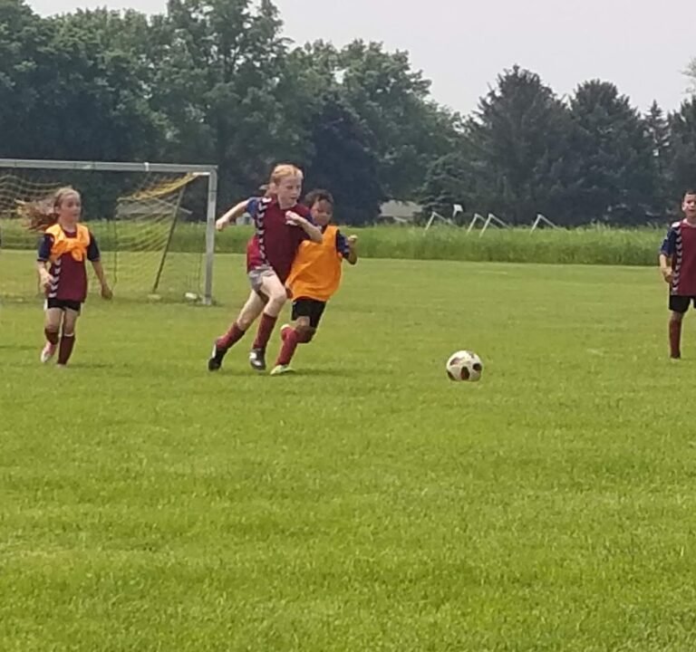 Soccer Field image 3