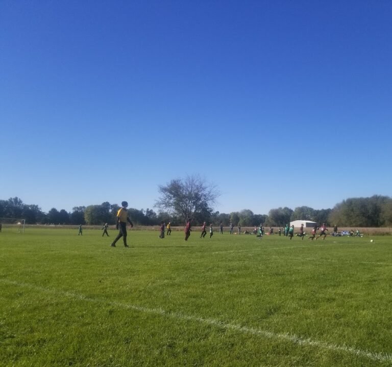 Soccer Field image 2