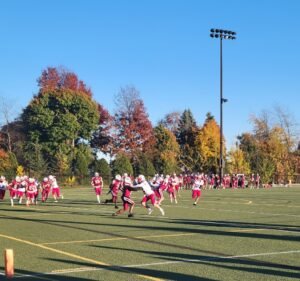 Soccer Field image 2