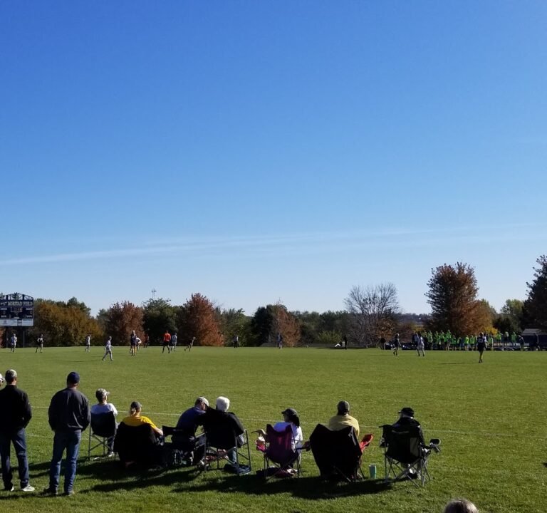 Soccer Field image 2