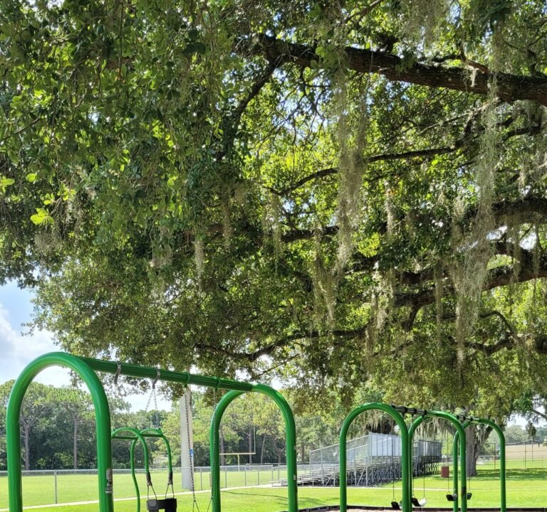 Soccer Field image 2