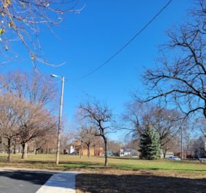 Soccer Field image 2