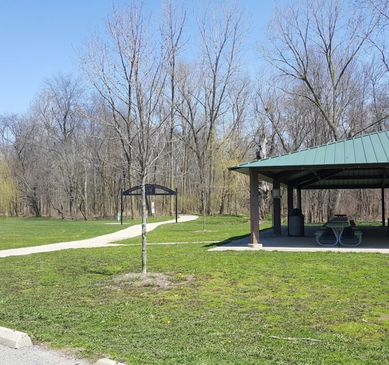 Soccer Field image 3