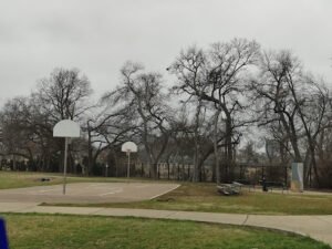 Soccer Field image 1
