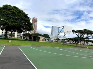 Soccer Field image 1