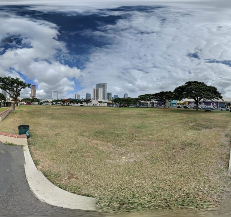 Soccer Field image 3