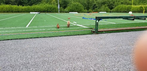 Soccer Field image 1