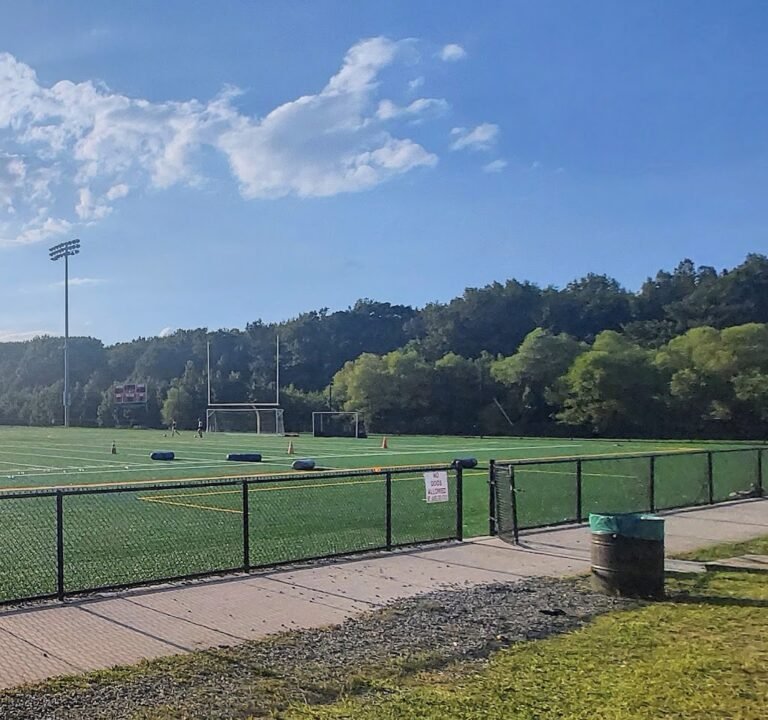 Soccer Field image 2