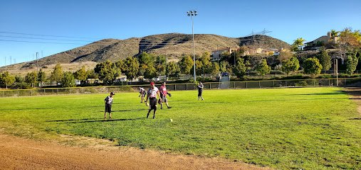 Soccer Field image 1