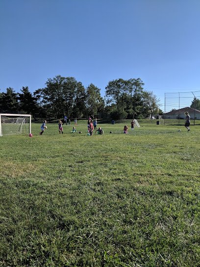 Soccer Field image 1