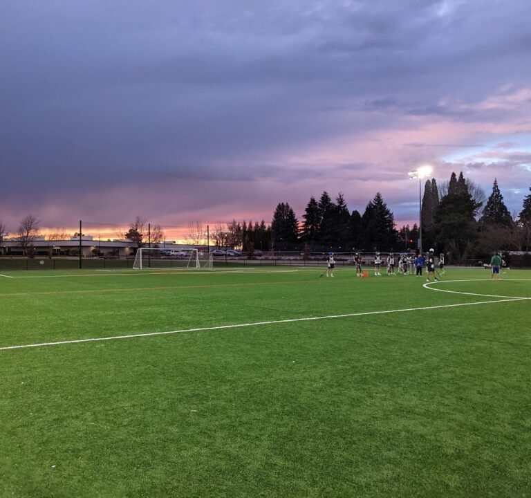 Soccer Field image 2