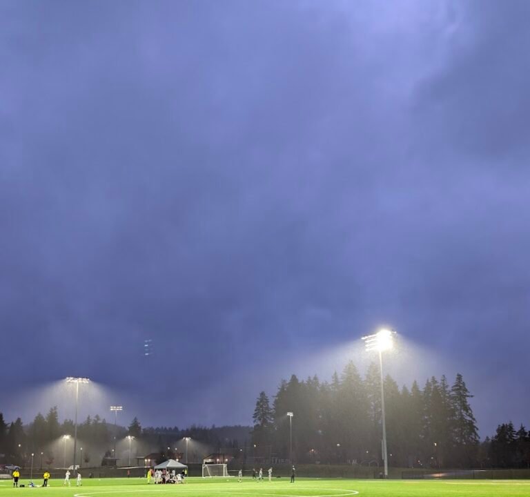Soccer Field image 3