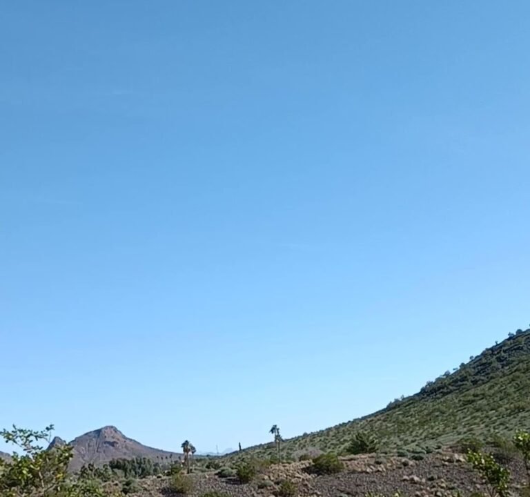 Soccer Field image 4