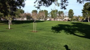 Soccer Field image 1