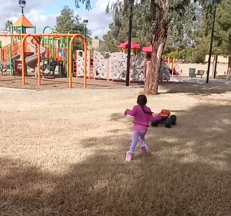 Soccer Field image 4